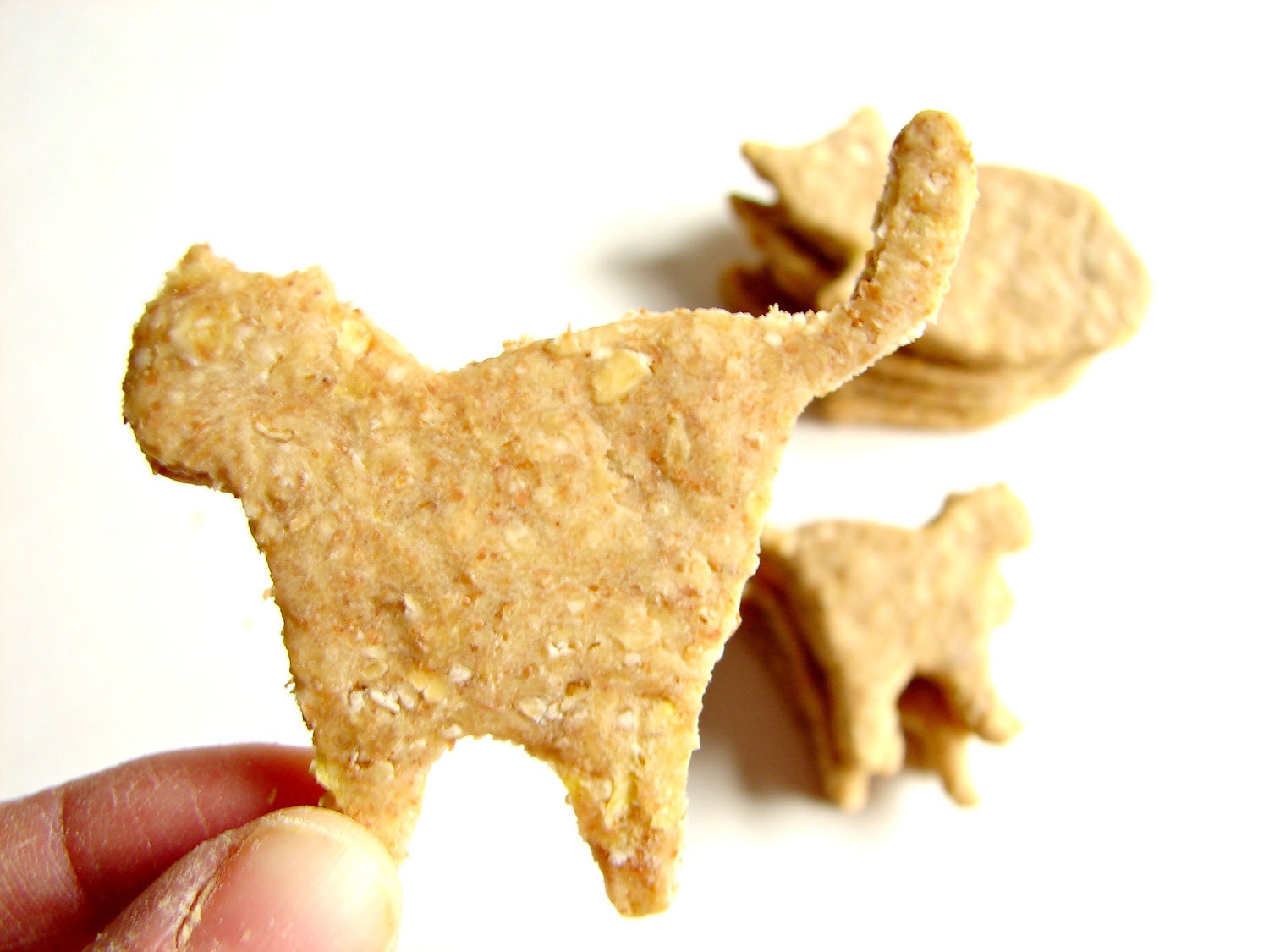 Dog Treats--Bag 'O Cats--Sweet Potato & Cheddar Flavor--All Natural Organics-6oz