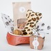 Puppy Dog Birthday Gift Baskets with Dog Toy, Dog Bowl, No-Wheat Dog Treats--Organic Too