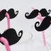 Custom Listing for brendamcna - 6 Mustache and Pink Straws and 6 Lip and Black Straws