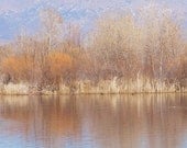 Sandia Mountians from the Bosque - Photo Art 16x20