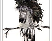 Zebra Crossing.... Mohawk in Black and White with Stripes