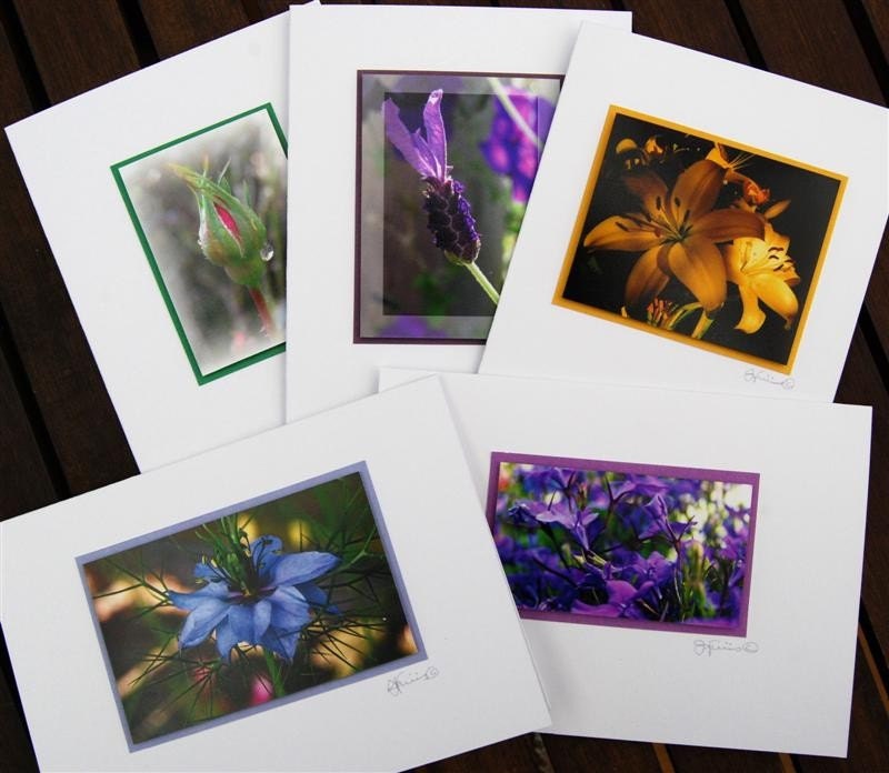Gift cards 3D flower photo  lillies, love in th mist, lavender and roses x 5