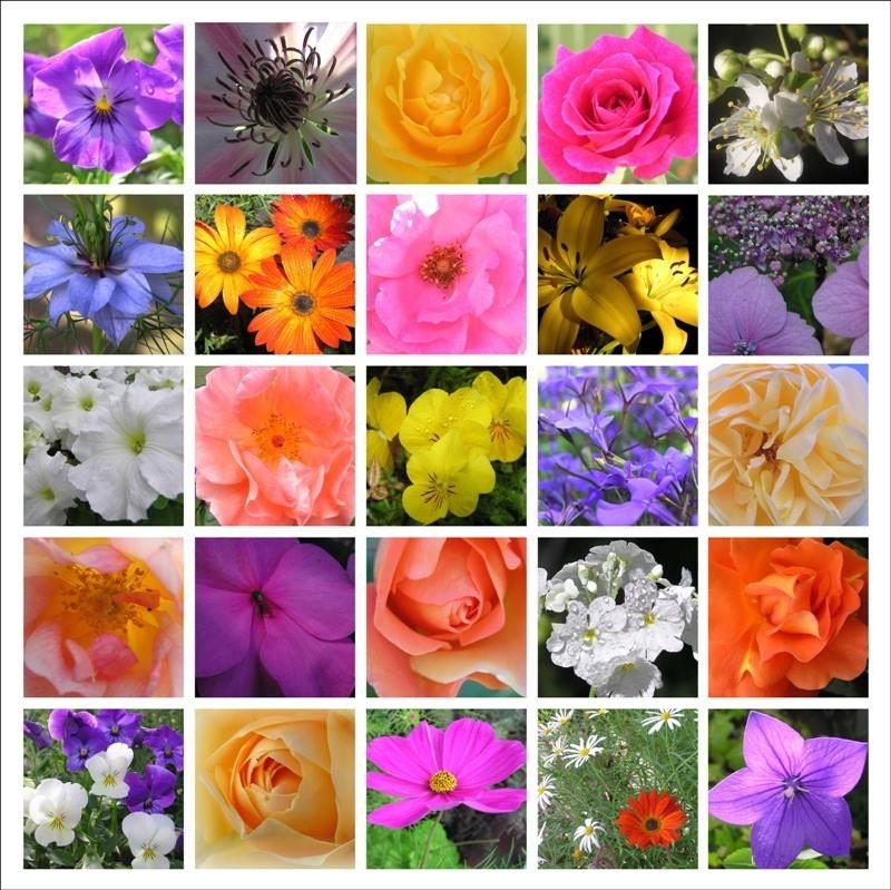 Flower mosaic Printable photograph - bright colorful Wall art 10x10 bright decor