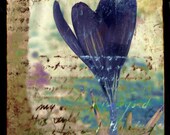 Purple - fine art giclee print