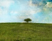 The Apple Tree - Limited Edition Giclee print