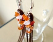 Feniks - dangle earrings with leather and Carnelian gemstones