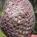 SALE Crochet Hat Slouchy Beret in Wool Blend Bohemian Look