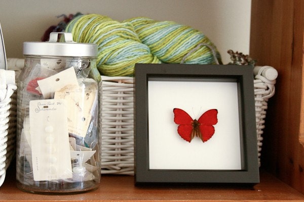 Heart Shaped Butterfly Shadowbox