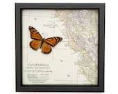 Map of Northern California San Francisco Bay Area with Native Monarch