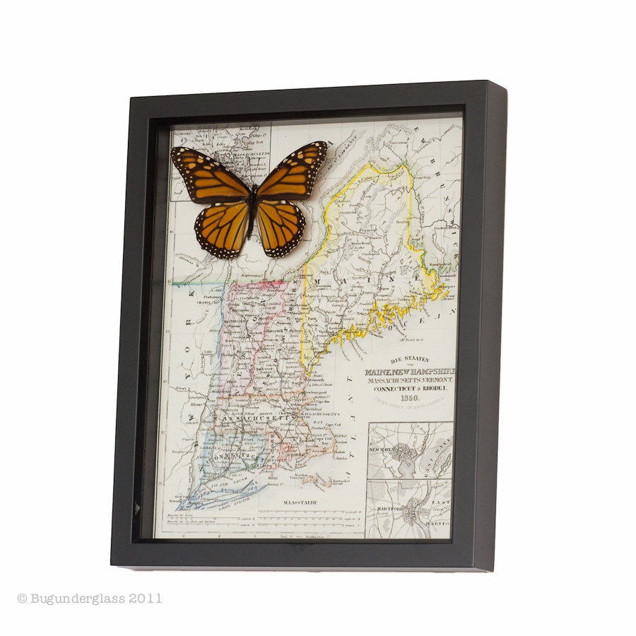Map of New England with Monarch Butterfly