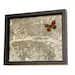 Real Butterfly in Paris Archival Print of the City of Paris 1776