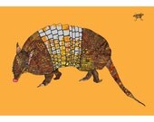 Armadillo Art Print  with Color Background
