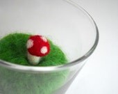Tiny Mushroom Terrarium