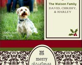 DIY Printable Ivory Creme Red Crimson Brown Damask Photo Portrait Picture Family Christmas Holiday Announcement or Card