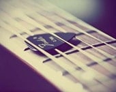 Music Guitar Photograph - A Sweet Song - close up guitar strings pick vintage feel earth tones purple - 8x10