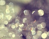 CLEARANCE Water Nature Photography - Abstract Water Postcard - spring summer still life nature circles silver white lilac lavender 4x6