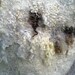 Hand felted wool coat jacket WILD WEST