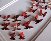 SALE Chinese Year of the Dragon Upcycled - Butterfly Art - 5x7 - Reds and Blacks