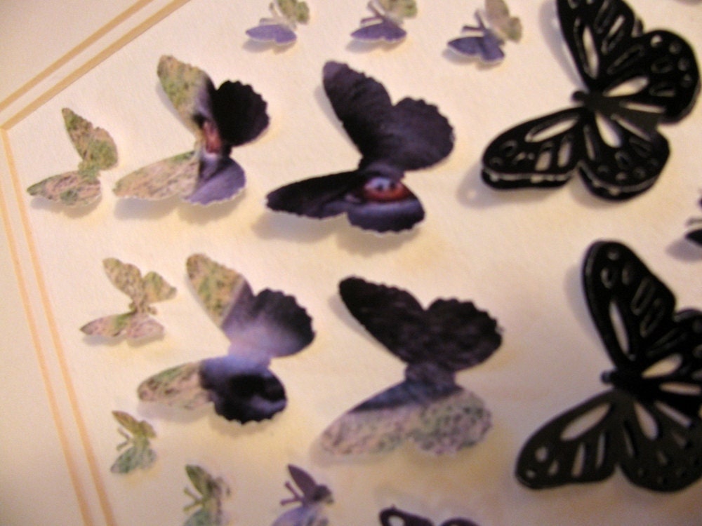 PHOTOGRAPHS Made into 3D Butterfly Art - 8x10 - Sample Layout Shows Black Lab with Brown Eyes - Made to Order