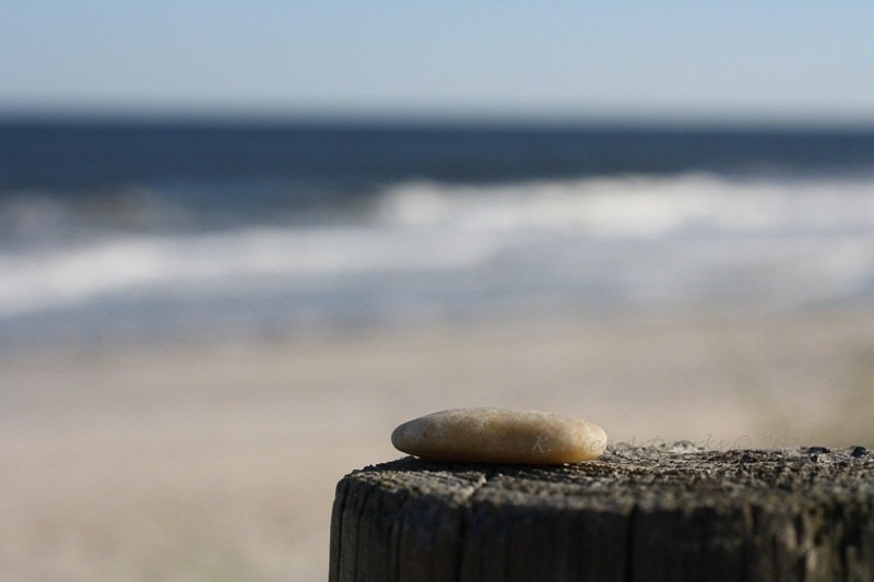 Perch 11x17 Photograph