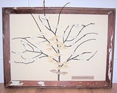 FAMILY TREE