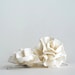 Handmade Wedding Bridal Hair Piece, Ivory Bridal Flower Hair Clips, Silk Rosettes, Wedding Hair Accessory - Set of Two (2)