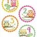 Monthly onesie stickers- Girls owls on clear background - perfect baby shower gift - baby bodysuit decals
