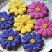 Bright Gerber Daisy Cookies 1 dozen