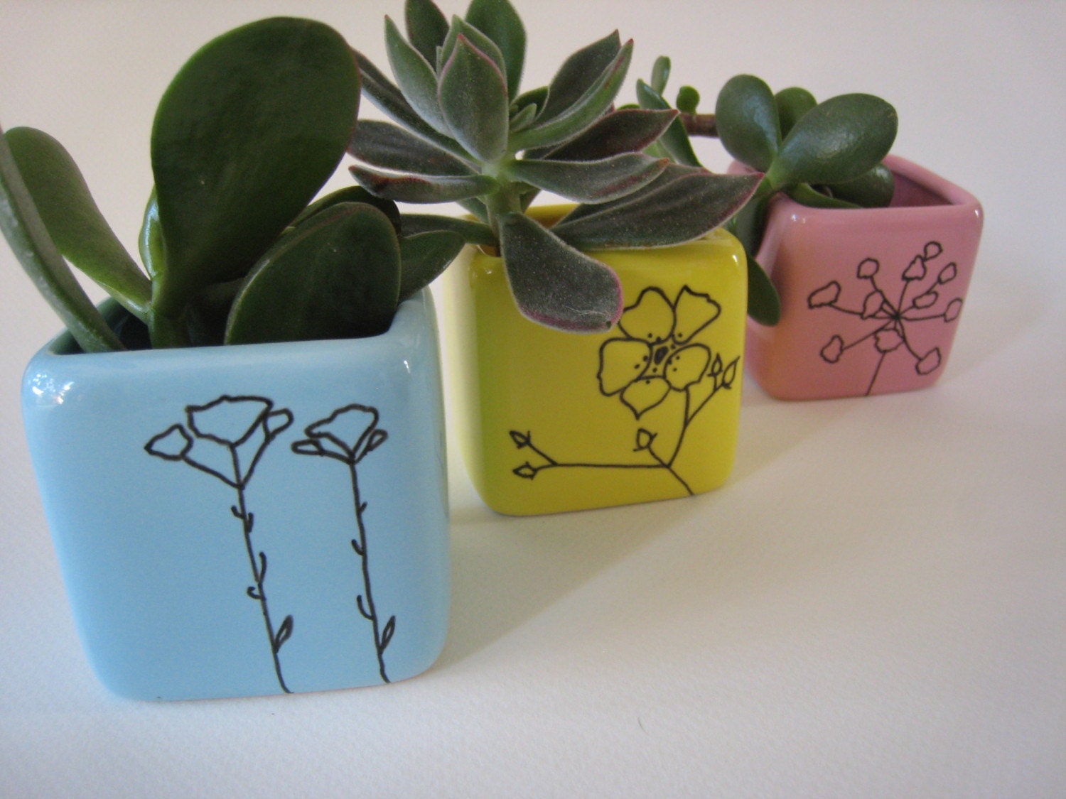 Set of 3 Mini Flower Pots with Hand Sketched Foliage Series Designs