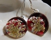 Luscious  Valentines Ruby Red flower petals behind Queen Anne's Lace. Real pressed blooms behind glass.
