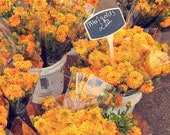 marigold flower farmer's market photograph / yellow, gold, golden, summer, shop local, sun / marigolds / 8x8 fine art photo