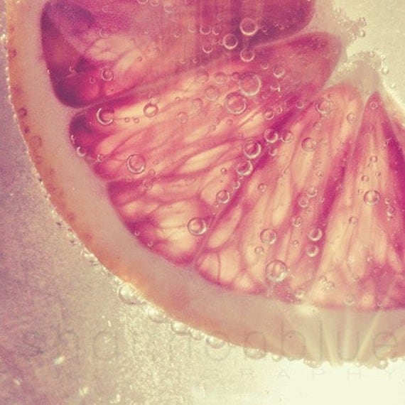 grapefruit citrus photograph / macro / food, fruit, kitchen decor / gold, pink / sunkist / 8x8