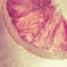 grapefruit citrus photograph / macro / food, fruit, kitchen decor / gold, pink / sunkist / 8x8
