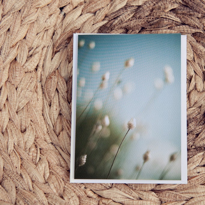 set of four blank greeting cards / nature, fine art photography, eco-friendly / mother's day, birthday, anniversary, any occasion