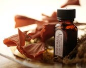November in the Temperate Deciduous Forest - natural perfume oil