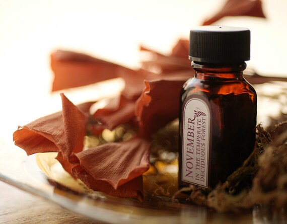 November in the Temperate Deciduous Forest - natural perfume oil