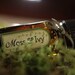 Moss and Ivy - natural perfume oil
