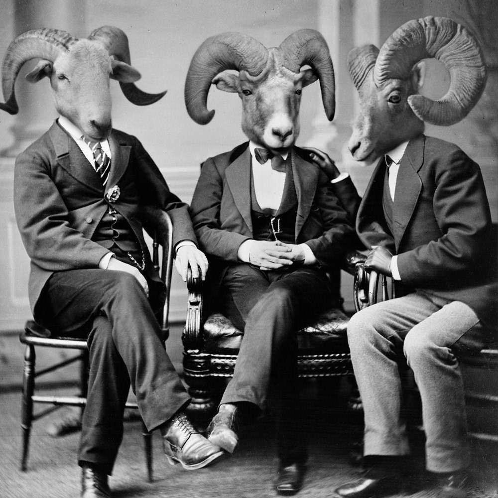 5x7 Brotherhood of the Ram - Ram Photographic Art Print