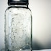 Lightning Bug Mason Jar by ShelbyLea - Half Gallon Plug In