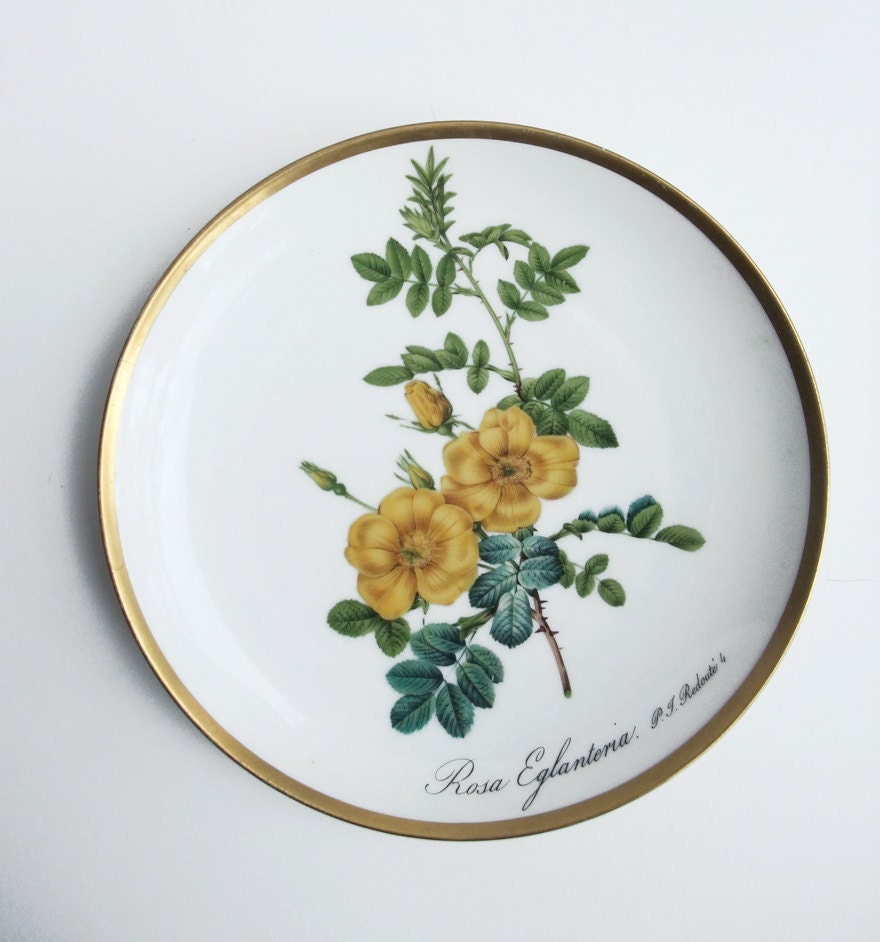 Vintage Floral Porcelain Plate Design P.J. Redouté Rosa Eglanteria/Collectible China Wall Hanging/China Home Decor/Flower Collectible Plate