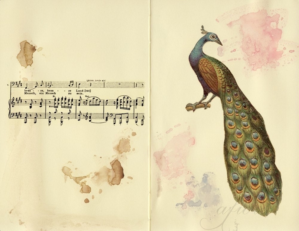 To be human, Peacock and music collage, 8x10 print