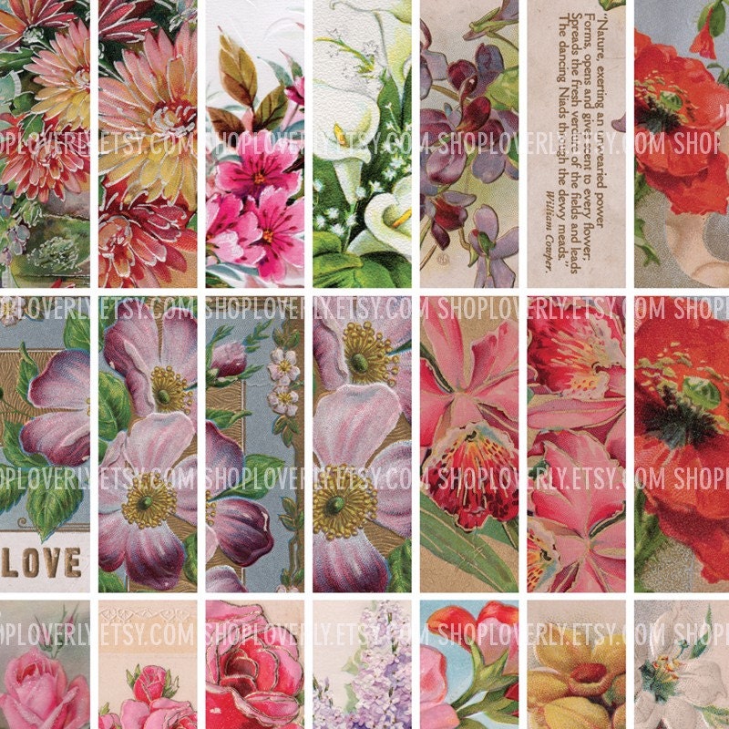 Digital Collage Sheet - 1x3 Inch Rectangle Vintage Flowers - Sheet No. 500