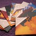 The Lion King envelopes handmade from recycled paper