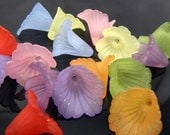 16 pieces -Large Frosted Matte Mixed Color Lucite Iris Flower Beads - 20mm