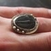 Sea Creature Trilobite Ring