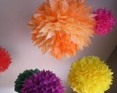 Zinnia Lover... 7 poms... 3 EXTRA FREE
