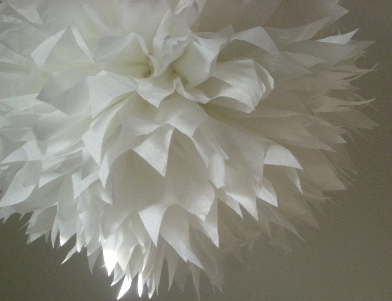 White... 1 pom Il_170x135