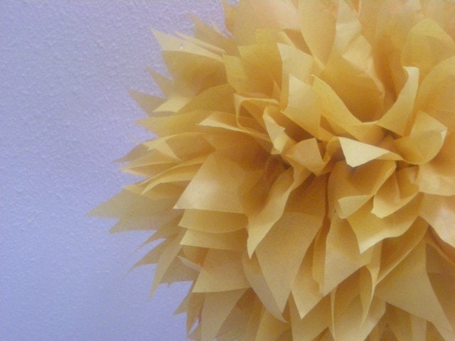 1 Piece Pom Kit- Caramel