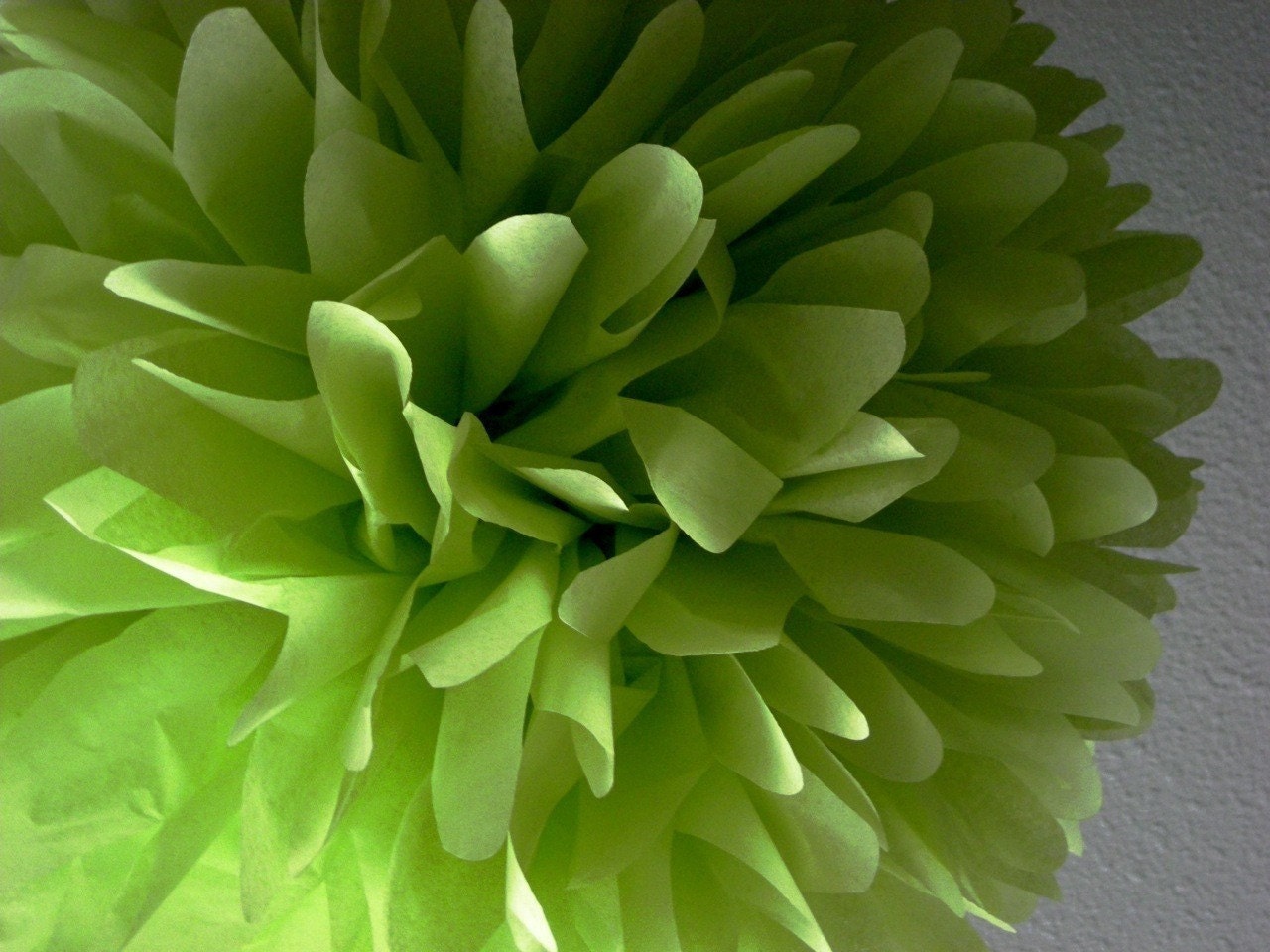 Leaf... 1 pom Il_570xn
