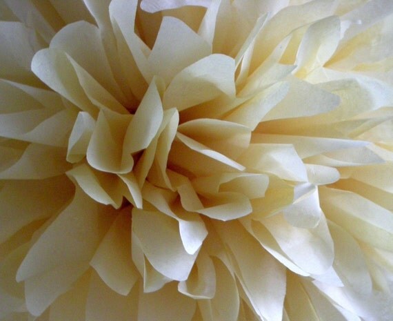 Champagne ... 1 tissue paper pom // wedding decorations // diy // birthday // baptism // party decorations Il_570xn